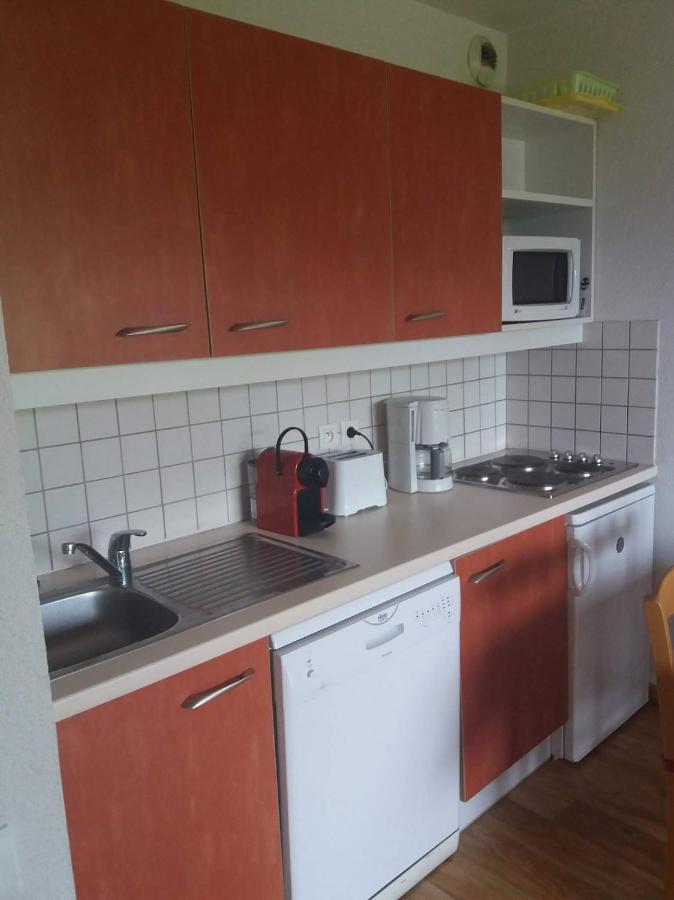 Le Hameau Des Ecrins Station 1800 Appartement Puy-Saint-Vincent Buitenkant foto